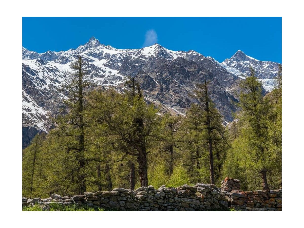 Apartment 7-Bettwohnung - Outdoor photo 2