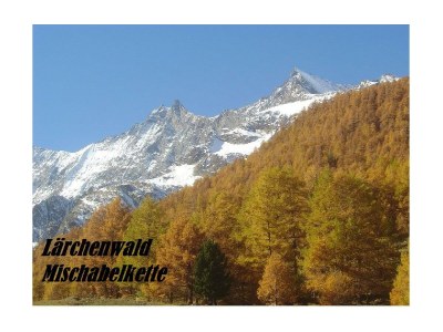 Apartment 9-Bettwohnung - Outdoor photo 11