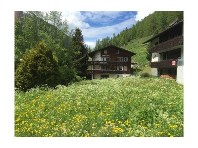 Apartment Studio, Dusche, WC, Erdgeschoß/Parterre - Outdoor photo 3