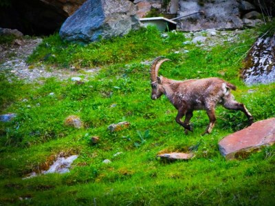 Apartment Appartement Nadelhorn - Outdoor photo 12