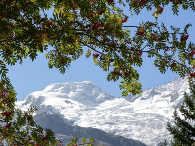 Apartment 4-Bettwohnung Nr. 1 - Outdoor photo 7