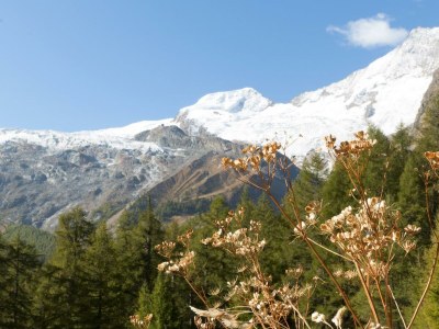 Apartment 4-Bettwohnung Nr. 1 - Outdoor photo 8