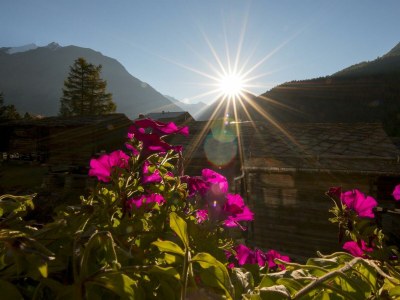 Apartment 4-Bettwohnung Nr. 1 - Outdoor photo 12