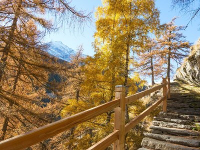 Apartment 4-Bettwohnung Nr. 1 - Outdoor photo 13