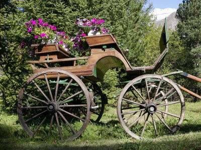 Apartment 4-Bettwohnung Nr. 1 - Outdoor photo 14