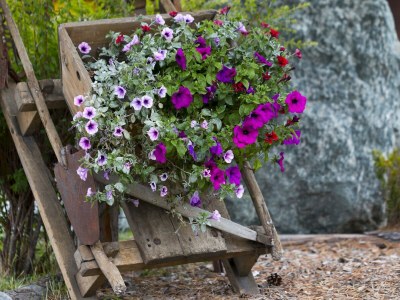 Apartment 4-Bettwohnung Nr. 1 - Outdoor photo 16