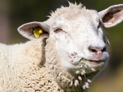 Apartment 4-Bettwohnung Nr. 1 - Outdoor photo 17