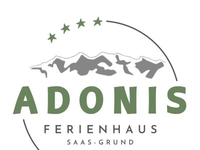 Apartment 4-Bettwohnung "Allalin" - Outdoor photo 32