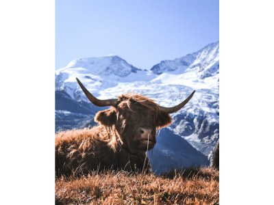 Apartment 3-Zimmerwohnung Nr. 1 - Outdoor photo 19