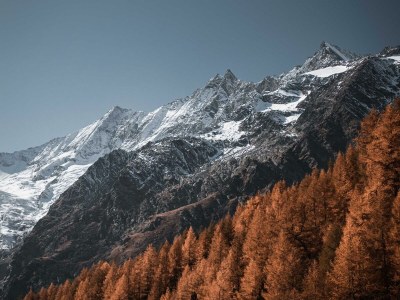 Apartment 3-Zimmerwohnung Nr. 1 - Outdoor photo 24