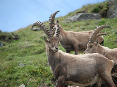 Apartment 6-Bettwohnung - Outdoor photo 9