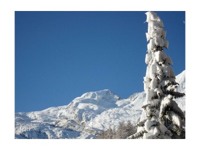 Apartment 2-Bettwohnung  Edelweiss - Outdoor photo 5