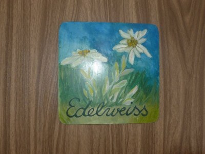 Apartment 2-Bettwohnung  Edelweiss - Features photo 13