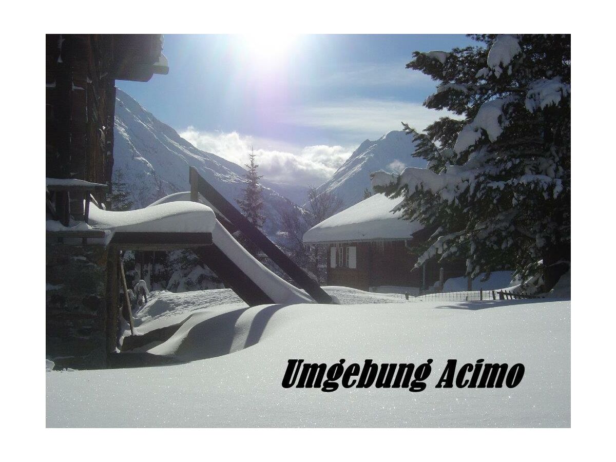 Apartment 2-Bettwohnung Muschi