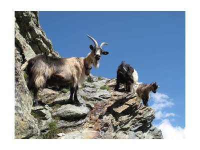 Apartment 4-Bettwohnung - Outdoor photo 13