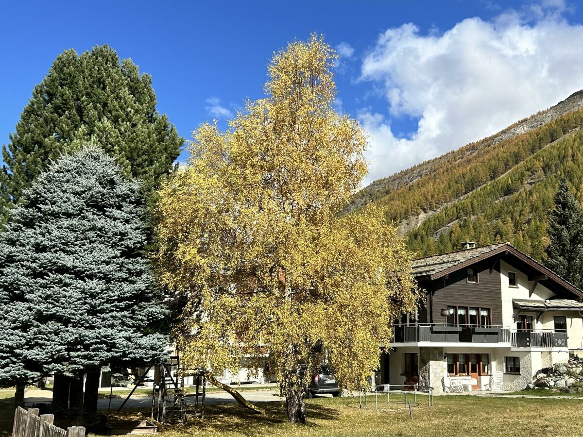 Apartment 8-Bettwohnung Nr. 41 - Outdoor photo 5