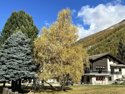 Apartment 8-Bettwohnung Nr. 41 - Outdoor photo 5