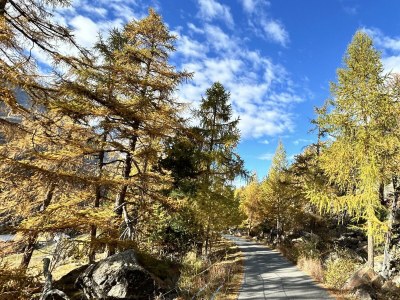 Apartment 8-Bettwohnung Nr. 41 - Features photo 10