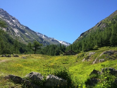 Apartment 8-Bettwohnung Nr. 41 - Features photo 12