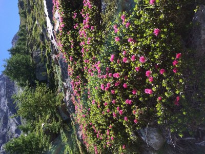 Apartment 8-Bettwohnung Nr. 41 - Features photo 13