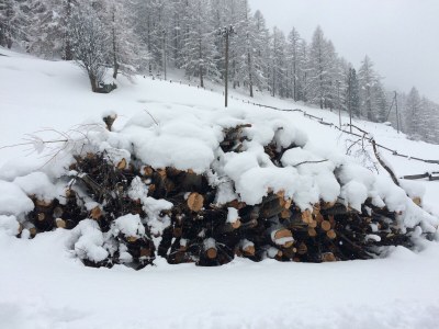 Apartment 8-Bettwohnung Nr. 41 - Features photo 16