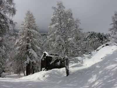 Apartment 8-Bettwohnung Nr. 41 - Features photo 18