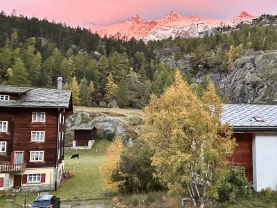 Apartment 8-Bettwohnung Nr. 41 - Features photo 32