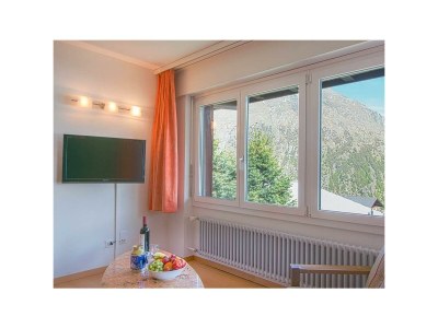 Apartment 2-Bettwohnung Bergdistel - Features photo 14