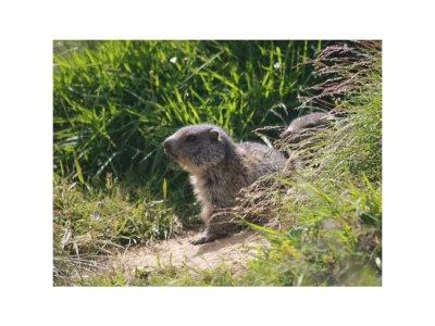Apartment 5-Bettwohnung Stein oben - Outdoor photo 26
