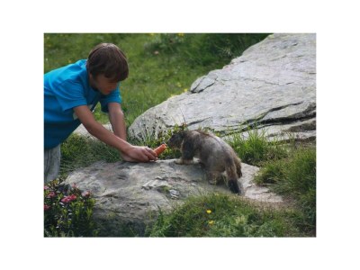 Apartment 5-Bettwohnung Stein oben - Outdoor photo 29
