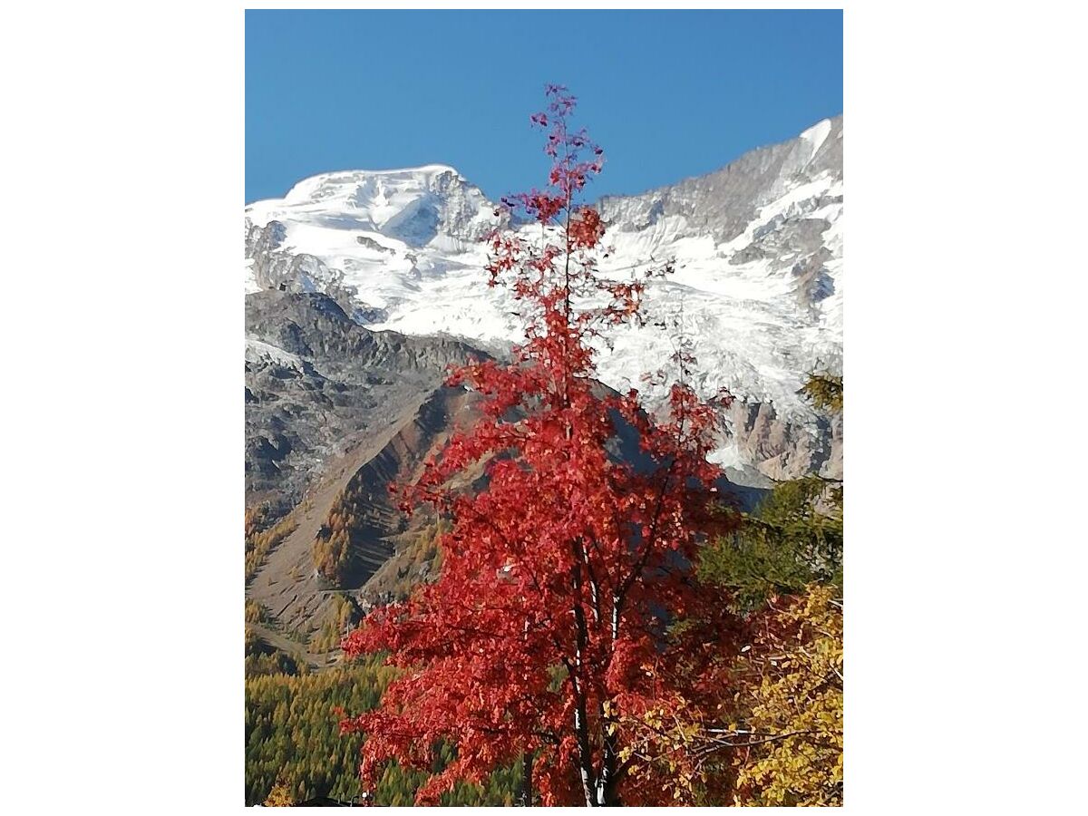 Apartment 4-Bettwohnung - Outdoor photo 3