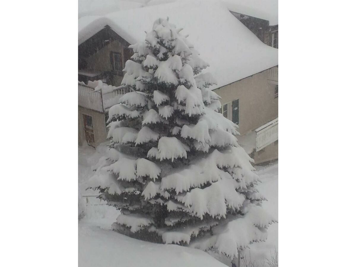 Apartment 5-Bettwohnung Nr. 2 - Outdoor photo 4