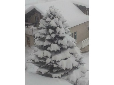 Apartment 5-Bettwohnung Nr. 2 - Outdoor photo 4