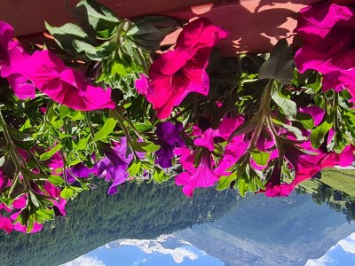 Apartment 2-Bettwohnung Nr. 50 - Outdoor photo 6