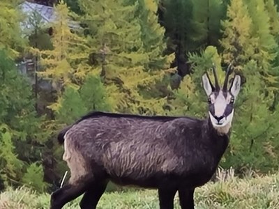 Apartment 2-Bettwohnung Nr. 50 - Outdoor photo 19