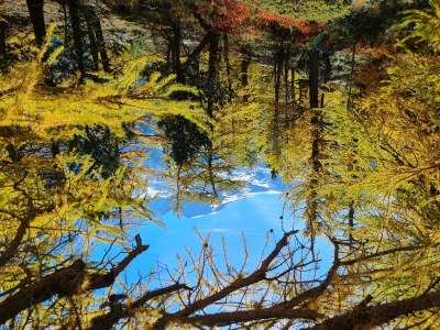 Apartment 2-Bettwohnung Nr. 50 - Outdoor photo 20