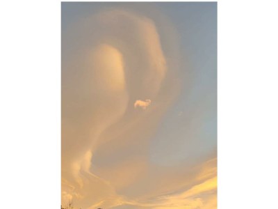 Apartment 2-Bettwohnung Nr. 50 - Outdoor photo 27