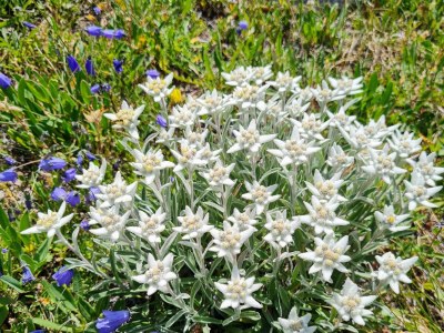 Apartment 4-Bettwohnung Nr. 52 - Outdoor photo 13