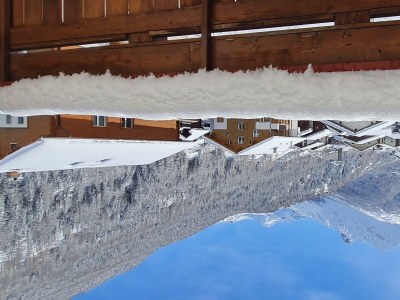 Apartment 4-Bettwohnung Nr. 52 - Outdoor photo 31