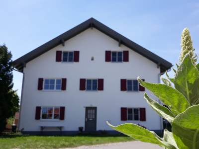 Holiday house Schleichhof Ammersee - Outdoor photo 2