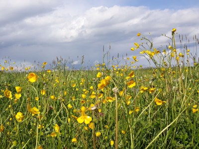 Holiday house Schleichhof Ammersee - Environment photo 33