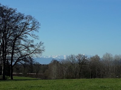 Holiday house Schleichhof Ammersee - Environment photo 34