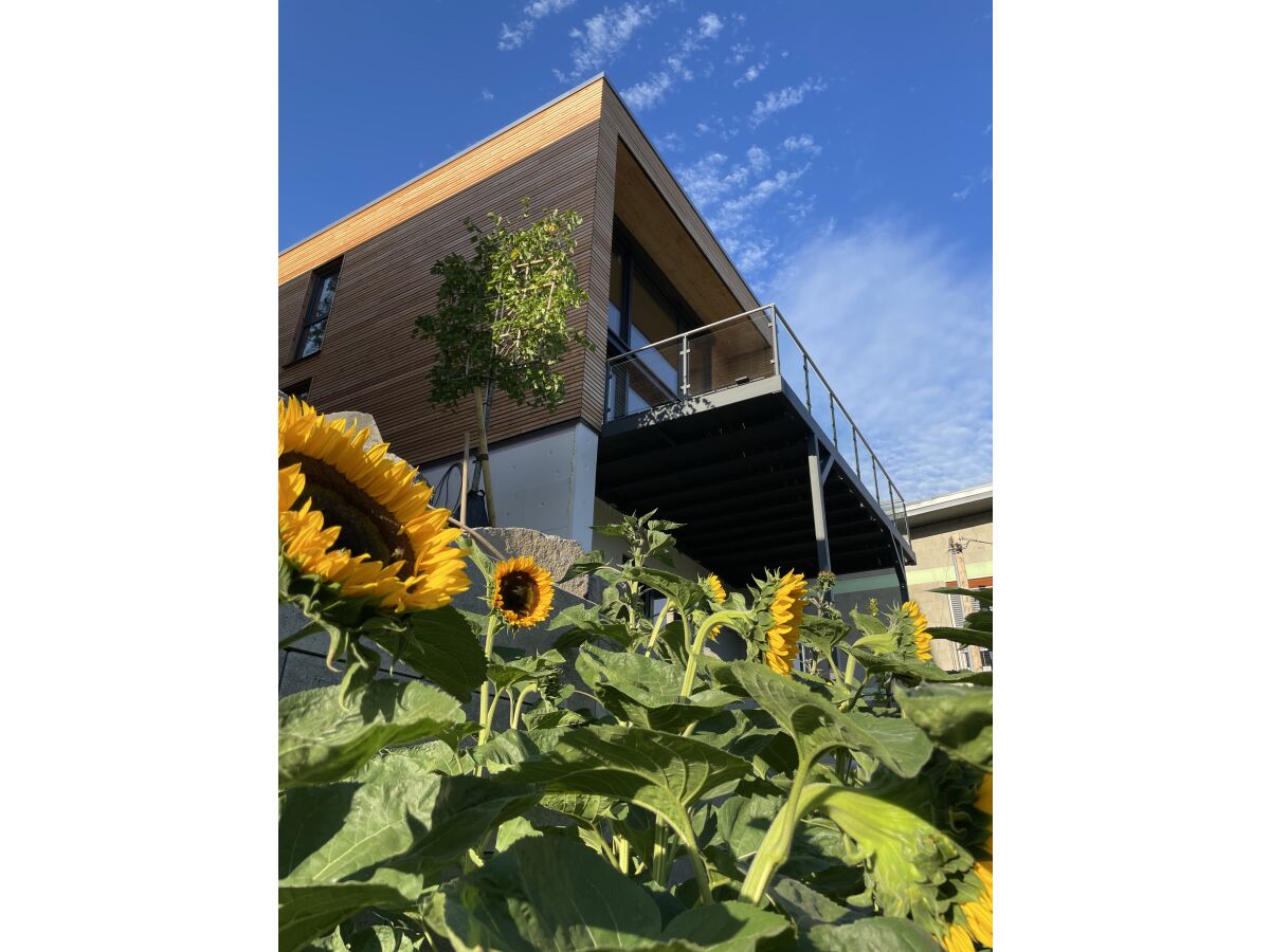 Holiday house Chalet Freiwild by Vulkaneifel-Chalets - Outdoor photo 2