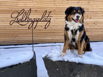 Holiday house Chalet Freiwild by Vulkaneifel-Chalets - Outdoor photo 7