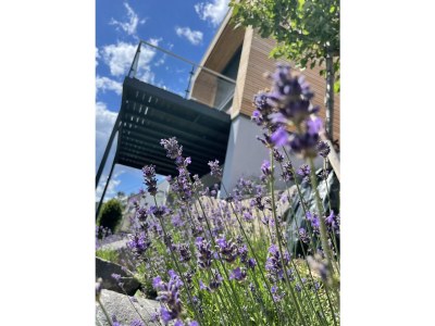 Holiday house Chalet Freiwild by Vulkaneifel-Chalets - Outdoor photo 9