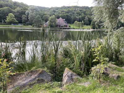 Holiday house Chalet Freiwild by Vulkaneifel-Chalets - Environment photo 35