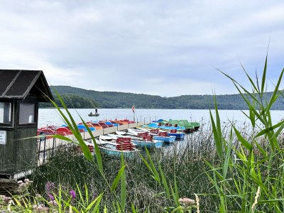 Holiday house Chalet Freiwild by Vulkaneifel-Chalets - Environment photo 39