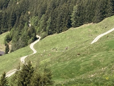 Holiday apartment Zillertalblick 2 - Environment photo 17