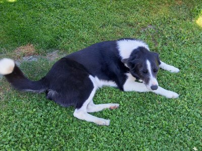 Holiday apartment AlpenglÃ¼hen Schranzlhof - Outdoor photo 3