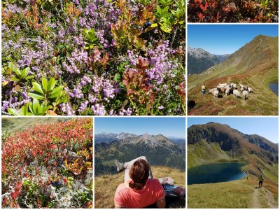 Holiday house Ferienhaus Lungau Home - Environment photo 28